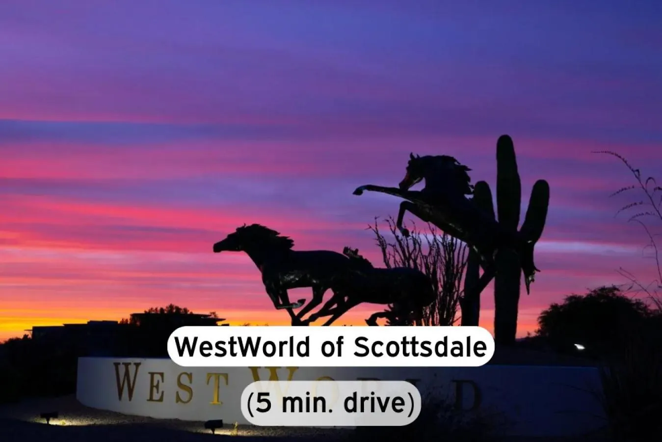 Stylish Scottsdale 2Br Pool Bbq Pet-Friendly Apartment